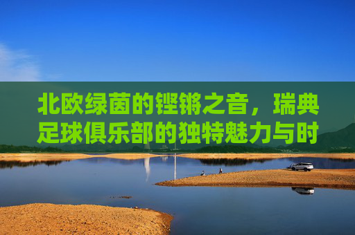北欧绿茵的铿锵之音,瑞典足球俱乐部的独特魅力与时代印记,北欧绿茵的铿锵之音,瑞典足球俱乐部的独特魅力与时代印记