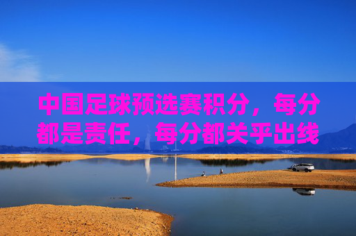中国足球预选赛积分,每分都是责任,每分都关乎出线与未来,中国足球预选赛积分,每分是责任,每分关乎出线与未来