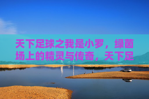 天下足球之我是小罗,绿茵场上的精灵与传奇,天下足球之我是小罗,绿茵场上的精灵与传奇