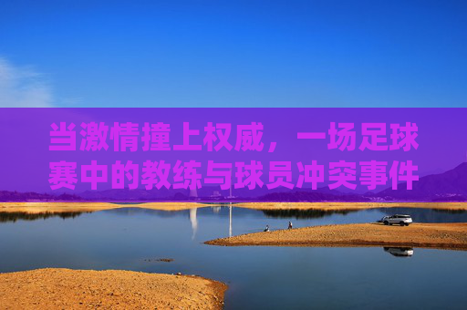 当激情撞上权威,一场足球赛中的教练与球员冲突事件