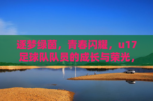 逐梦绿茵,青春闪耀,u17足球队队员的成长与荣光,逐梦绿茵,青春闪耀,u17足球队队员的成长与荣光