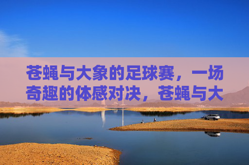苍蝇与大象的足球赛，一场奇趣的体感对决，苍蝇与大象的足球赛，一场奇趣的体感对决