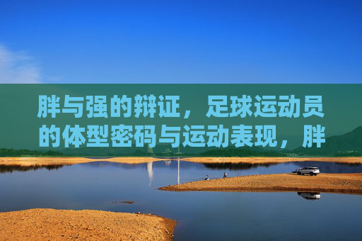 胖与强的辩证,足球运动员的体型密码与运动表现,胖与强的辩证,足球运动员的体型密码与运动表现