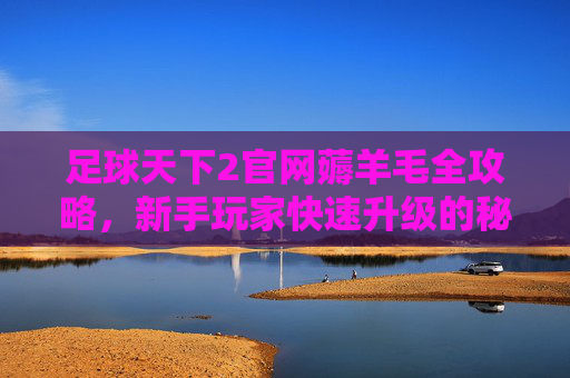 足球天下2官网薅羊毛全攻略,新手玩家快速升级的秘诀,多重福利助你轻松拿捏游戏节奏!足球天下2官网薅羊毛全攻略,新手快速升级秘诀,多重福利助你轻松拿捏游戏节奏