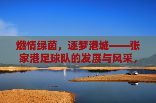 燃情绿茵,逐梦港城——张家港足球队的发展与风采,燃情绿茵,逐梦港城——张家港足球队的发展与风采