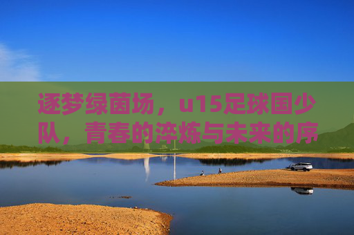 逐梦绿茵场，u15足球国少队，青春的淬炼与未来的序章，逐梦绿茵场，u15足球国少队的青春淬炼与未来序章