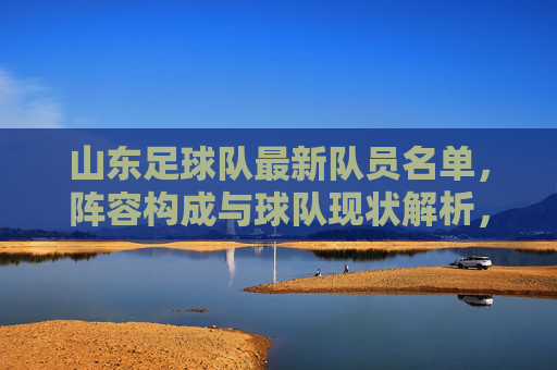 山东足球队最新队员名单，阵容构成与球队现状解析，山东足球队最新队员名单，阵容构成与球队现状解析