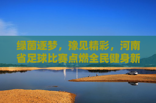 绿茵逐梦,豫见精彩,河南省足球比赛点燃全民健身新热潮,绿茵逐梦,豫见精彩,河南省足球比赛点燃全民健身新热潮