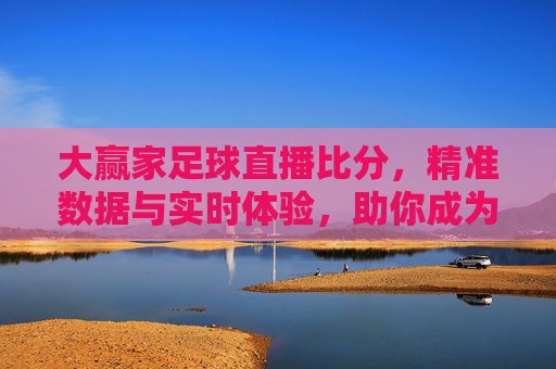 大赢家足球直播比分，精准数据与实时体验，助你成为足球观赛大赢家，大赢家足球直播比分，精准数据与实时体验，助你成为足球观赛大赢家