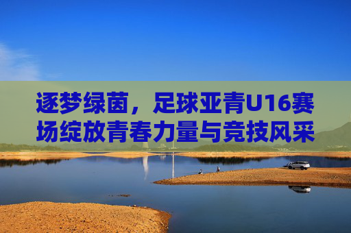 逐梦绿茵,足球亚青U16赛场绽放青春力量与竞技风采,逐梦绿茵,足球亚青U16赛场绽放青春力量与竞技风采