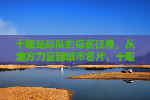 十堰足球队的绿茵征程，从地方力量到城市名片，十堰足球队，从地方力量到城市名片的绿茵征程