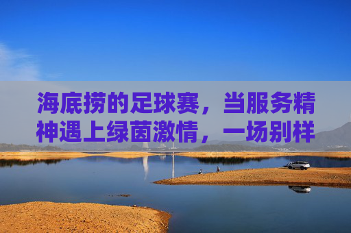 海底捞的足球赛,当服务精神遇上绿茵激情,一场别样的团队盛宴,海底捞的足球赛,服务精神与绿茵激情碰撞的别样团队盛宴