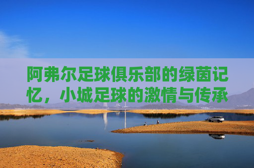 阿弗尔足球俱乐部的绿茵记忆，小城足球的激情与传承，阿弗尔足球俱乐部的绿茵记忆，小城足球的激情与传承