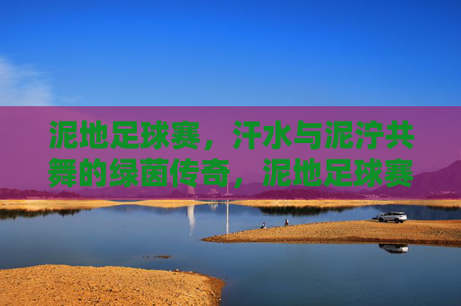 泥地足球赛，汗水与泥泞共舞的绿茵传奇，泥地足球赛，汗水与泥泞共舞的绿茵传奇