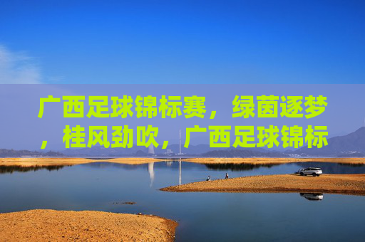 广西足球锦标赛，绿茵逐梦，桂风劲吹，广西足球锦标赛，绿茵逐梦，桂风劲吹