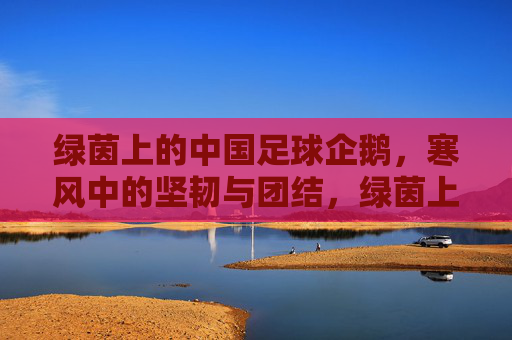 绿茵上的中国足球企鹅，寒风中的坚韧与团结，绿茵上的中国足球企鹅，寒风中的坚韧与团结