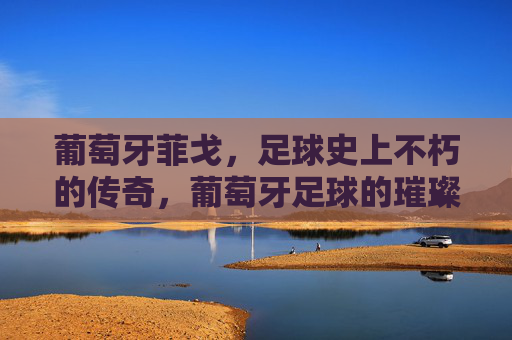 葡萄牙菲戈，足球史上不朽的传奇，葡萄牙足球的璀璨明珠，葡萄牙菲戈，足球史上不朽的传奇，葡萄牙足球的璀璨明珠