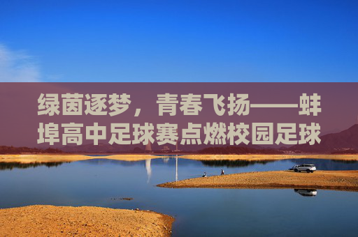 绿茵逐梦，青春飞扬——蚌埠高中足球赛点燃校园足球热情，绿茵逐梦，青春飞扬——蚌埠高中足球赛点燃校园足球热情