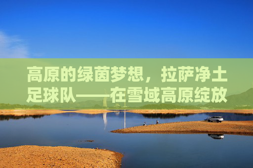 高原的绿茵梦想,拉萨净土足球队——在雪域高原绽放的足球之光,高原的绿茵梦想,拉萨净土足球队——在雪域高原绽放的足球之光