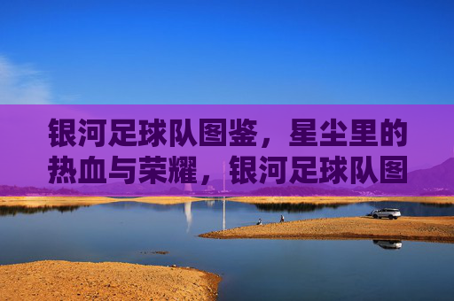 银河足球队图鉴，星尘里的热血与荣耀，银河足球队图鉴，星尘里的热血与荣耀