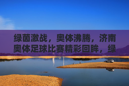 绿茵激战，奥体沸腾，济南奥体足球比赛精彩回眸，绿茵激战，奥体沸腾，济南奥体足球比赛精彩回眸