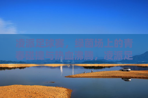 凌派足球赛，绿茵场上的青春碰撞与热血沸腾，凌派足球赛，绿茵场上的青春碰撞与热血沸腾