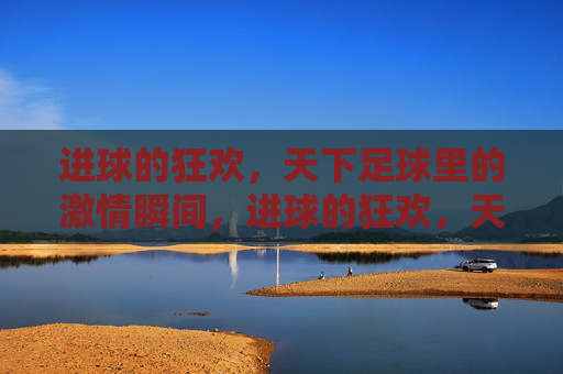 进球的狂欢，天下足球里的激情瞬间，进球的狂欢，天下足球里的激情瞬间