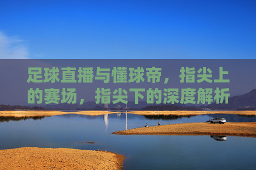 足球直播与懂球帝，指尖上的赛场，指尖下的深度解析——解锁足球世界的多维视角，足球直播与懂球帝，指尖上的赛场，指尖下的深度解析——解锁足球世界的多维视角
