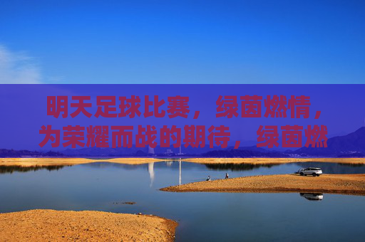 明天足球比赛,绿茵燃情,为荣耀而战的期待,绿茵燃情,为荣耀而战的足球比赛明日燃情开启