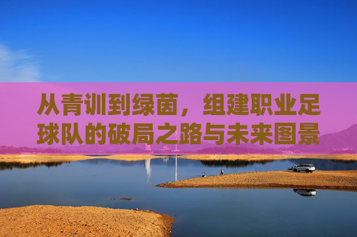从青训到绿茵，组建职业足球队的破局之路与未来图景，从青训到绿茵，职业足球队破局之路与未来图景