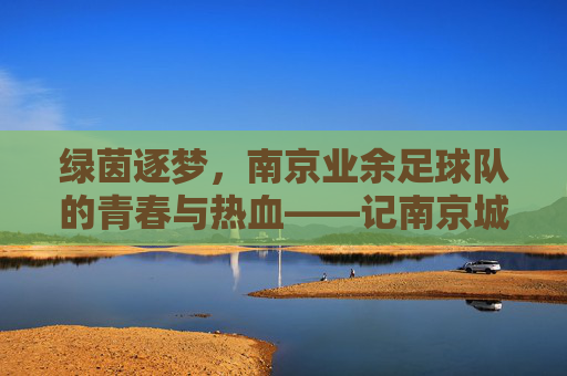 绿茵逐梦，南京业余足球队的青春与热血——记南京城市之光业余足球队，绿茵逐梦，南京业余足球队的青春与热血——记南京城市之光业余足球队
