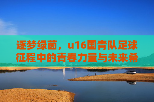 逐梦绿茵,u16国青队足球征程中的青春力量与未来希望,逐梦绿茵,u16国青队足球征程中的青春力量与未来希望