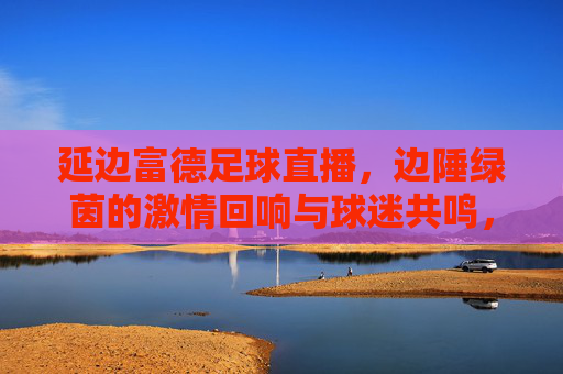 延边富德足球直播，边陲绿茵的激情回响与球迷共鸣，延边富德足球直播，边陲绿茵的激情回响与球迷共鸣