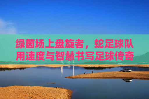 绿茵场上盘旋者,蛇足球队用速度与智慧书写足球传奇,绿茵场上盘旋者,蛇足球队用速度与智慧书写足球传奇