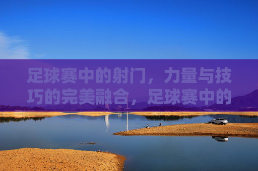 足球赛中的射门,力量与技巧的完美融合,足球赛中的射门,力量与技巧的完美融合