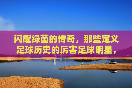 闪耀绿茵的传奇，那些定义足球历史的厉害足球明星，闪耀绿茵的传奇，那些定义足球历史的厉害足球明星
