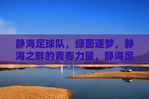 静海足球队，绿茵逐梦，静海之畔的青春力量，静海足球队，绿茵逐梦，静海之畔的青春力量