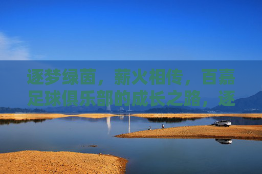 逐梦绿茵，薪火相传，百嘉足球俱乐部的成长之路，逐梦绿茵，薪火相传，百嘉足球俱乐部的成长之路