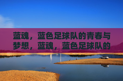 蓝魂，蓝色足球队的青春与梦想，蓝魂，蓝色足球队的青春与梦想