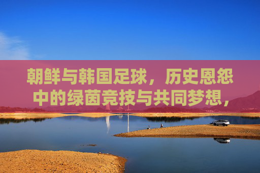 朝鲜与韩国足球,历史恩怨中的绿茵竞技与共同梦想,朝鲜与韩国足球,历史恩怨中的绿茵竞技与共同梦想