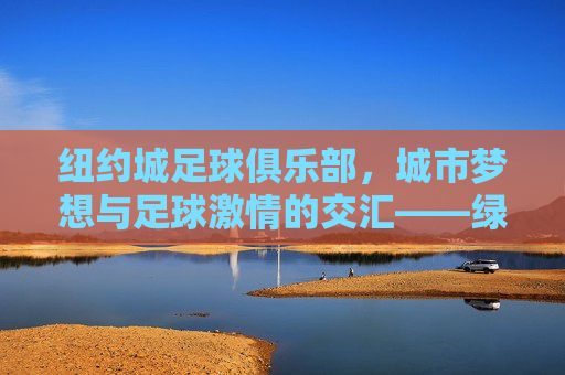 纽约城足球俱乐部，城市梦想与足球激情的交汇——绿茵场上纽约的活力印记，纽约城足球俱乐部，城市梦想与足球激情的交汇——绿茵场上纽约的活力印记