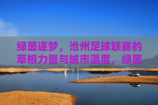 绿茵逐梦，沧州足球联赛的草根力量与城市温度，绿茵逐梦，沧州足球联赛的草根力量与城市温度