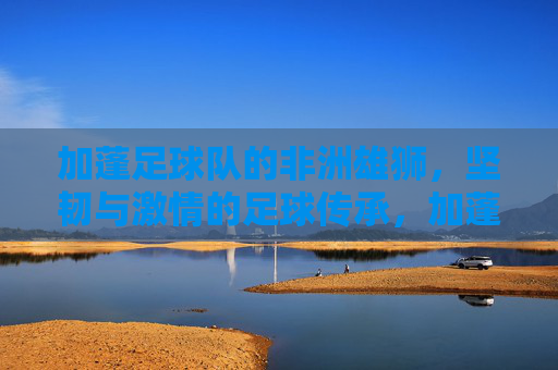 加蓬足球队的非洲雄狮,坚韧与激情的足球传承,加蓬足球队的非洲雄狮,坚韧与激情的足球传承