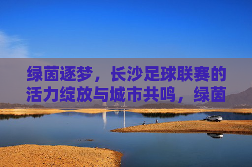 绿茵逐梦，长沙足球联赛的活力绽放与城市共鸣，绿茵逐梦，长沙足球联赛的活力绽放与城市共鸣
