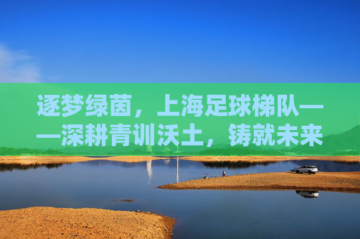 逐梦绿茵，上海足球梯队——深耕青训沃土，铸就未来希望