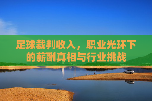 足球裁判收入,职业光环下的薪酬真相与行业挑战
