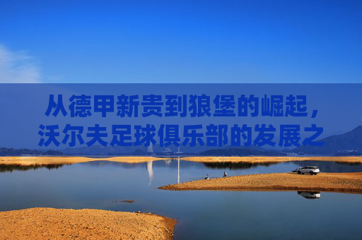 从德甲新贵到狼堡的崛起，沃尔夫足球俱乐部的发展之路，从德甲新贵到狼堡的崛起，沃尔夫足球俱乐部的发展之路