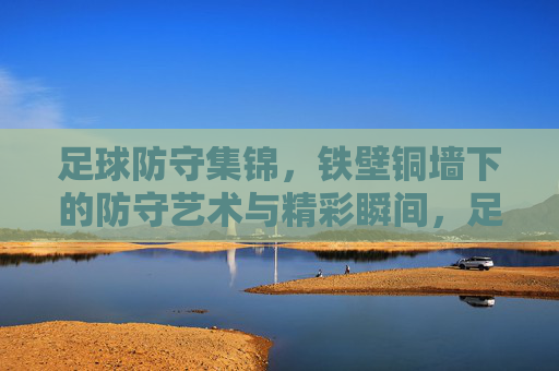 足球防守集锦，铁壁铜墙下的防守艺术与精彩瞬间，足球防守集锦，铁壁铜墙下的防守艺术与精彩瞬间
