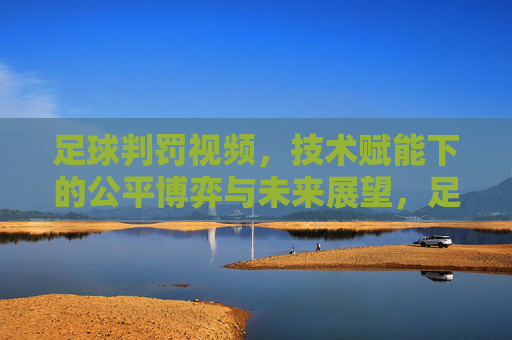 足球判罚视频，技术赋能下的公平博弈与未来展望，足球判罚视频，技术赋能下的公平博弈与未来展望