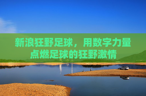 新浪狂野足球，用数字力量点燃足球的狂野激情
